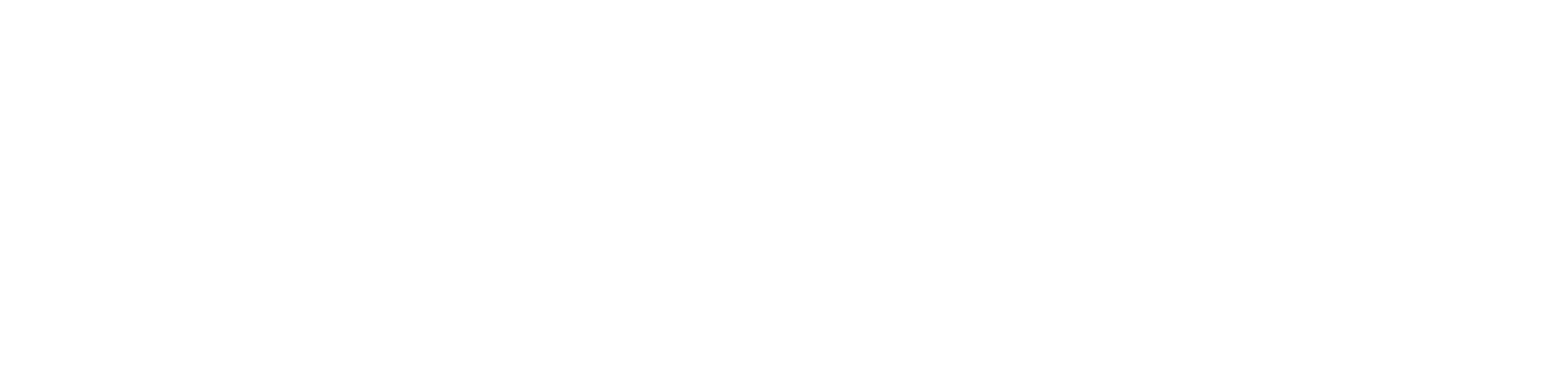 Soynade Logo